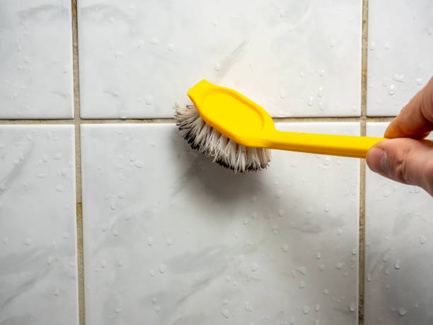 Best Black Mold Removal  in Ketchikan, AK